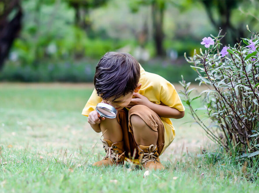 Curiosity in Your Child