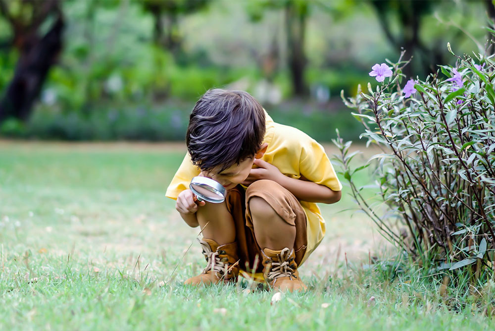 Curiosity in Your Child