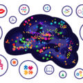 Sensory Learning: How to Help Children Grow Better